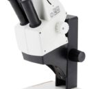 Estereomicroscopio_Leica-ez4d_AESA